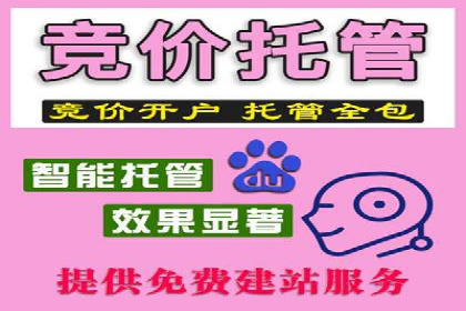 SEM服务托管实战：案例分析及策略探讨